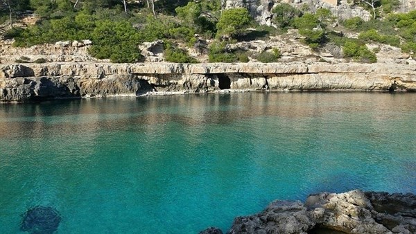 Maiorca