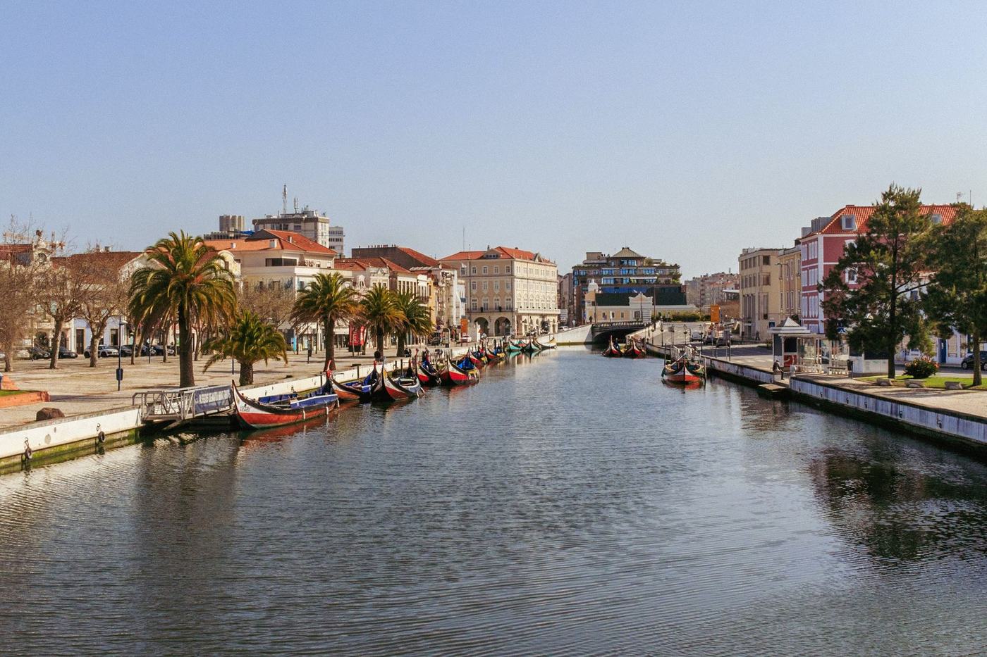 Um lugar para descobrir em Aveiro