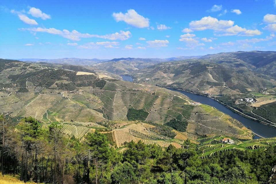 Conversar com vista para o Douro