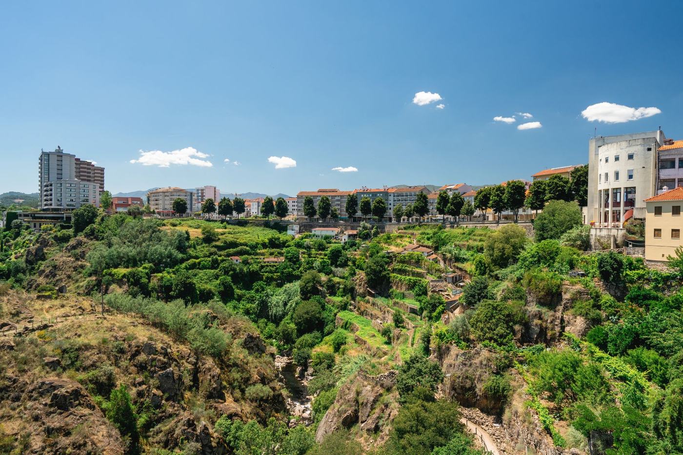 Um lugar para descobrir em Vila Real